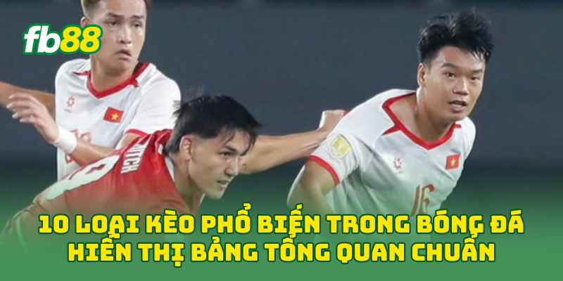 10 Loại Kèo Phổ Biến Trong Bóng Đá Cần Biết Trước Khi Cược 3 10 Loại Kèo Phổ Biến Trong Bóng Đá hiển thị bảng tổng quan chuẩn