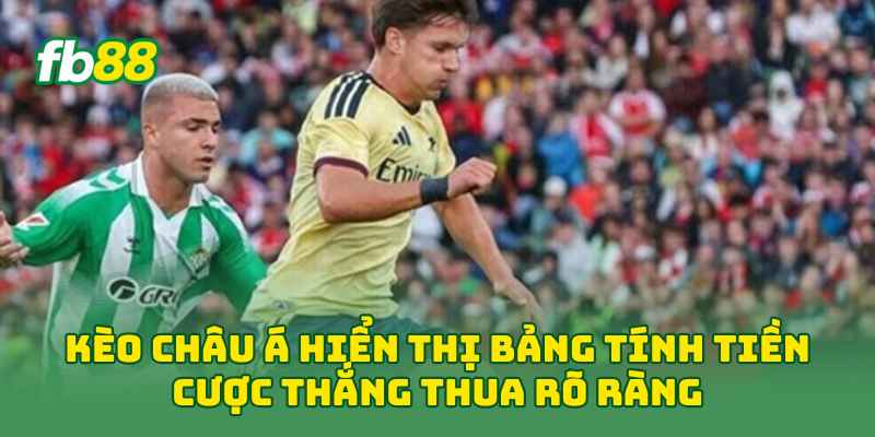 Kèo Châu Á Là Gì? Cách Đọc Tỷ Lệ & Soi Kèo Dễ Hiểu 2026 3 Kèo Châu Á hiển thị bảng tính tiền cược thắng thua rõ ràng