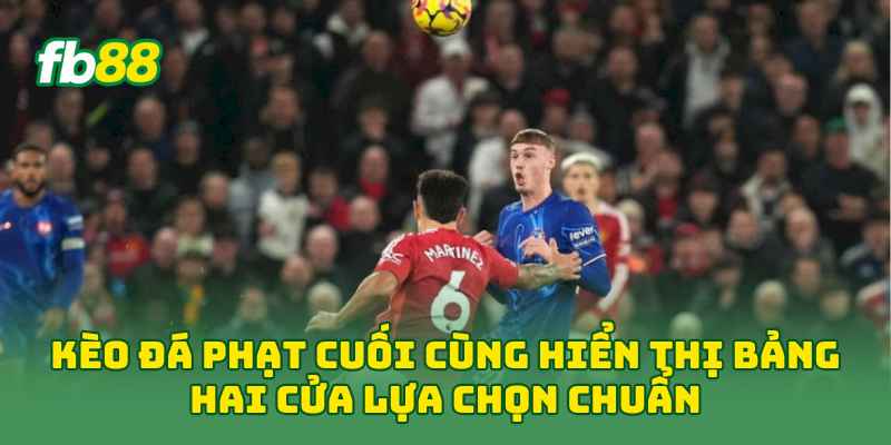 Kèo Đá Phạt Cuối Cùng: 6 Cách Đọc Kèo Hiệu Quả Cho Newbie 3 Kèo Đá Phạt Cuối Cùng hiển thị bảng hai cửa lựa chọn chuẩn