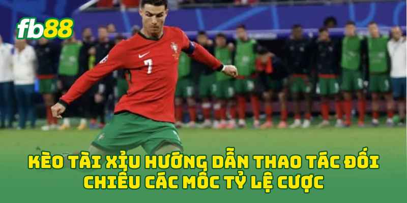 Kèo Tài Xỉu: Cách Đọc Kèo Và Phân Tích Tổng Bàn Thắng 2026 1 Kèo Tài Xỉu hướng dẫn thao tác đối chiếu các mốc tỷ lệ cược